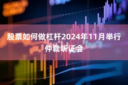 股票如何做杠杆2024年11月举行仲裁听证会